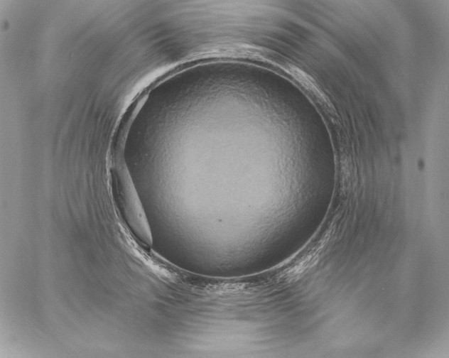 X0000058800846200510211837