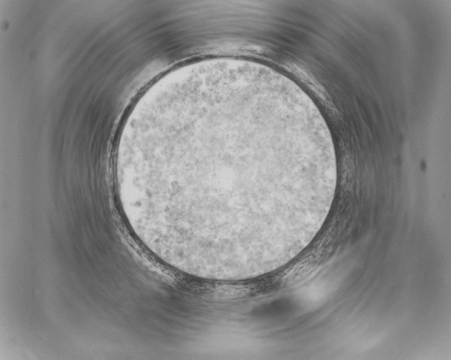 X0000058800848200510211837