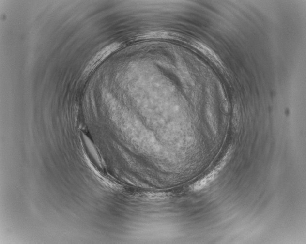 X0000058800849200510211837