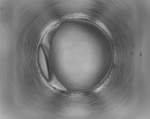X0000058800850200510211837