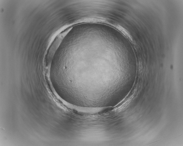 X0000058800854200510211837