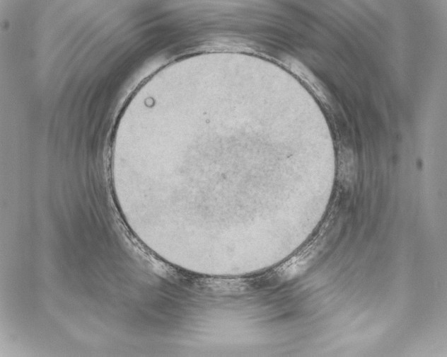 X0000058800856200510211837