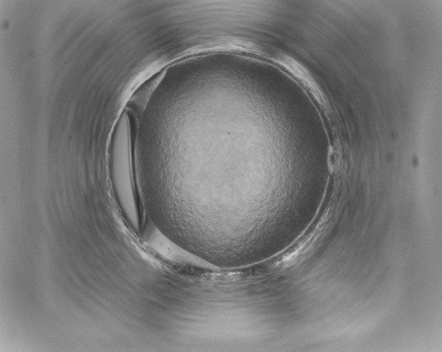 X0000058800858200510211837