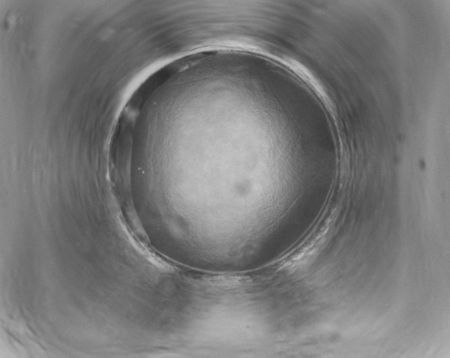 X0000058800862200510211837