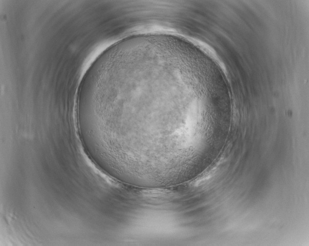 X0000058800863200510211837