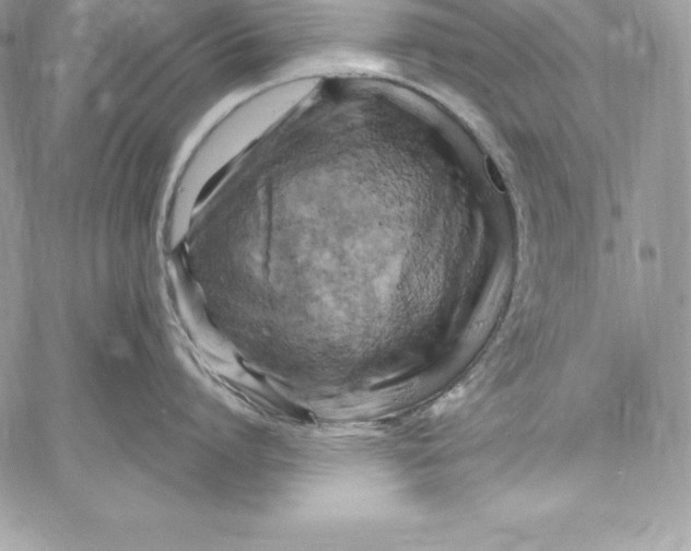 X0000058800864200510211837