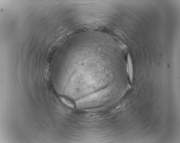 X0000058800867200510211836