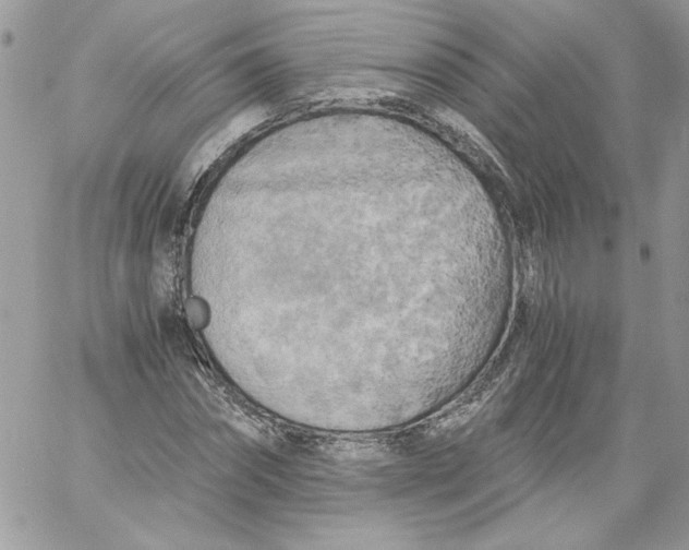 X0000058800874200510211836