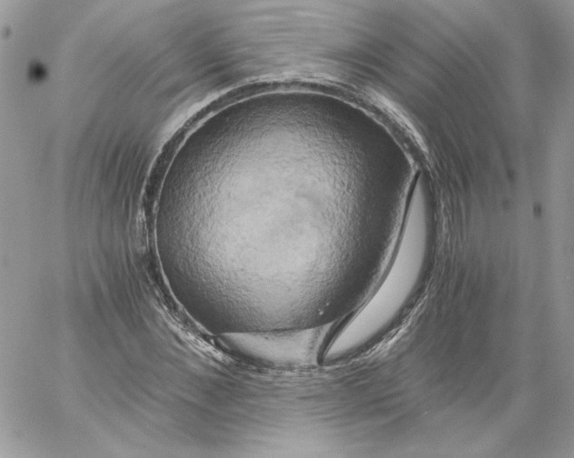 X0000058800876200510211836