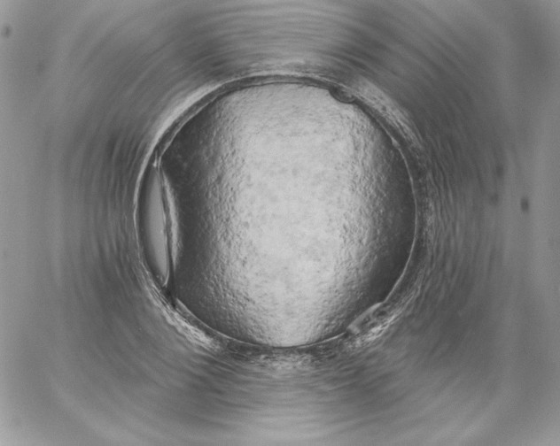 X0000058800884200510211836
