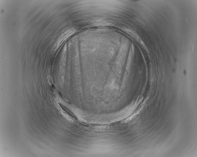 X0000058800889200510211836