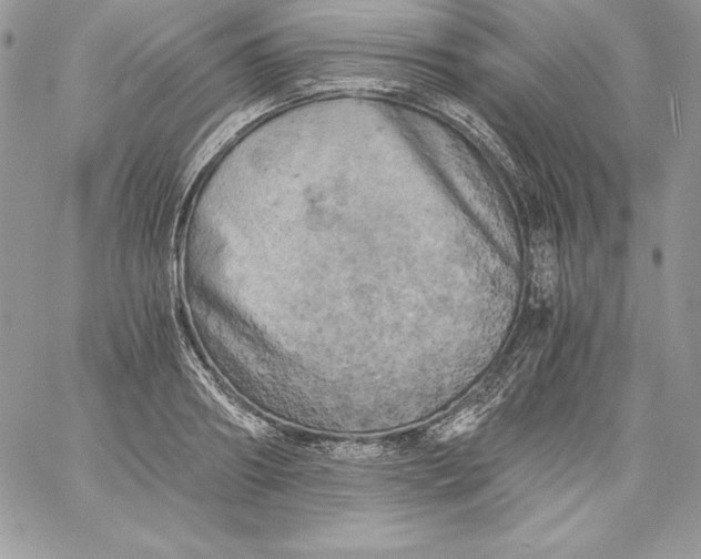 X0000058800890200510211836