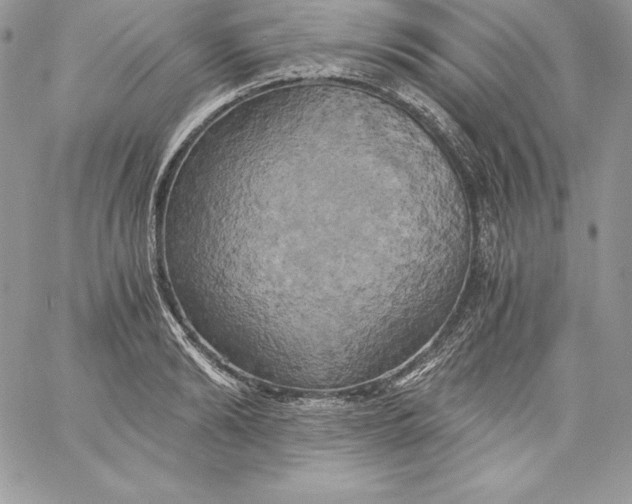 X0000058800894200510211836