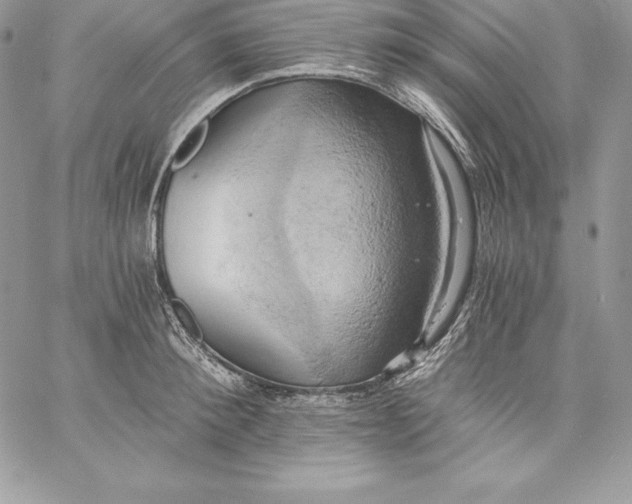 X0000058800900200510211836