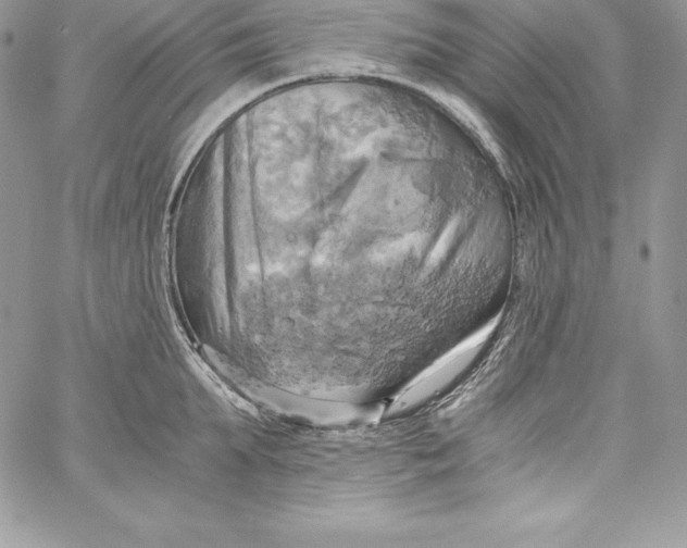 X0000058800903200510211836
