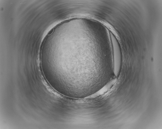 X0000058800904200510211836