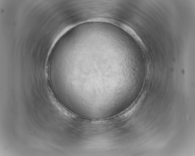 X0000058800908200510211836