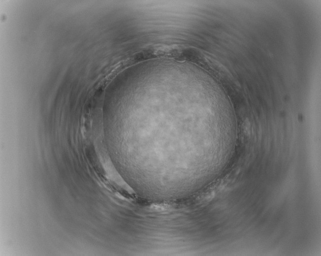 X0000058800914200510211835