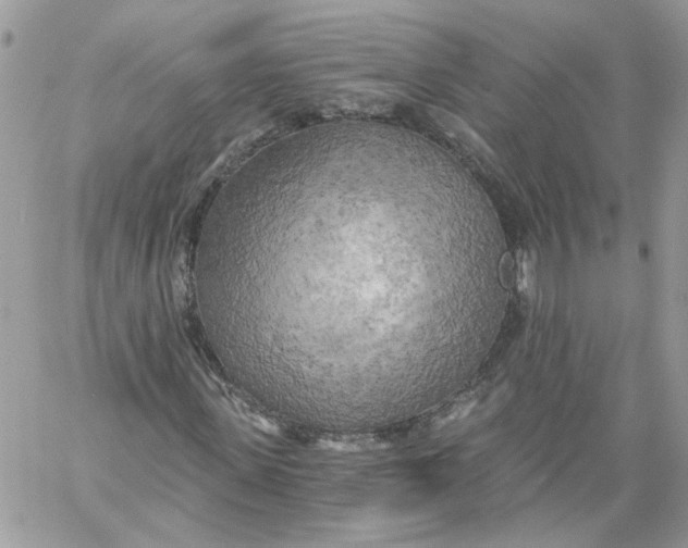 X0000058800915200510211835