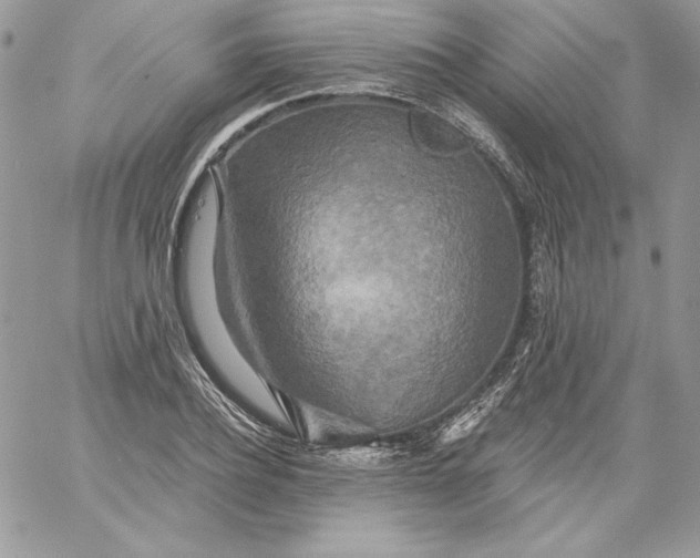 X0000058800932200510211835