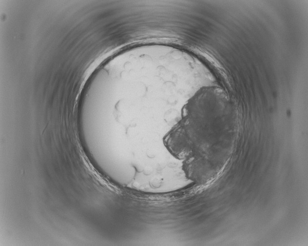 X0000058800933200510211835