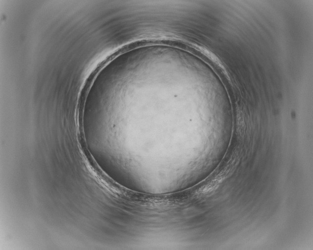 X0000058800935200510211835