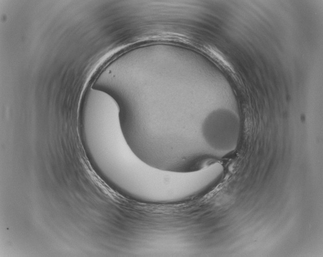 X0000058800940200510211835
