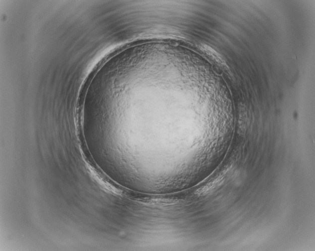 X0000058800942200510211835