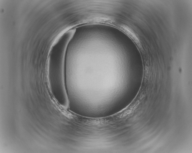X0000058800948200510211835