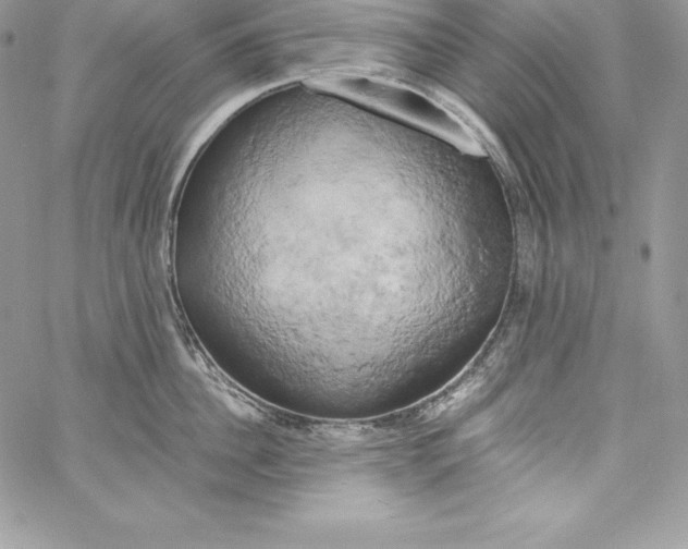 X0000058800956200510211836