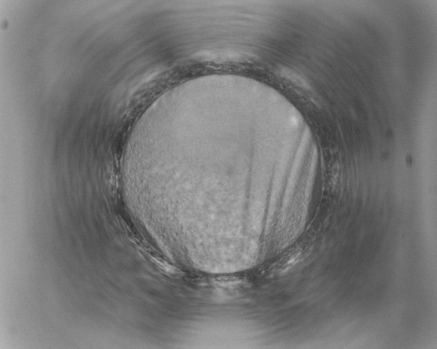 X0000058800966200510211835