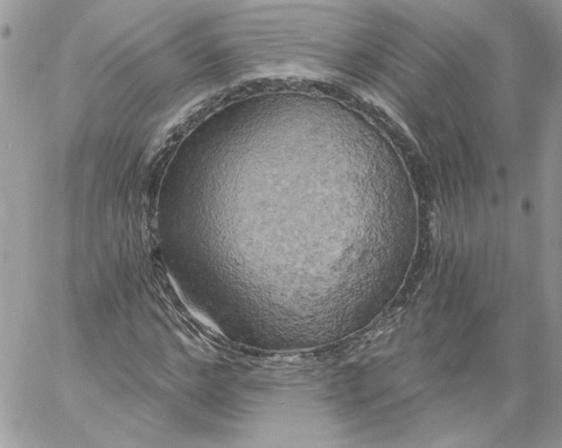 X0000058800968200510211835