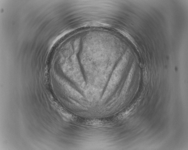 X0000058800971200510211835