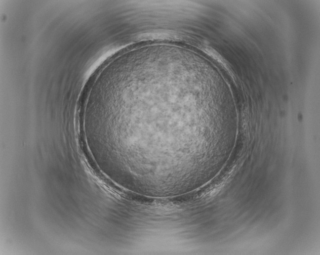 X0000058800983200510211835