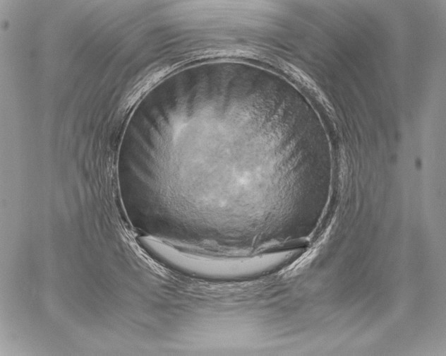 X0000058800985200510211834