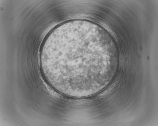X0000058800988200510211834