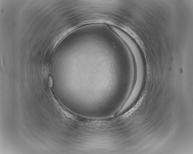 X0000058800993200510211834