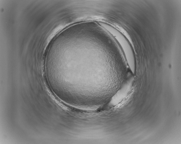 X0000058800997200510211834