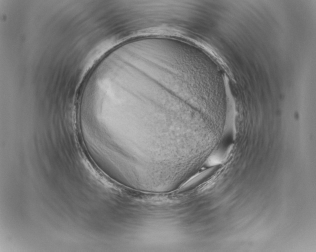 X0000058800998200510211834