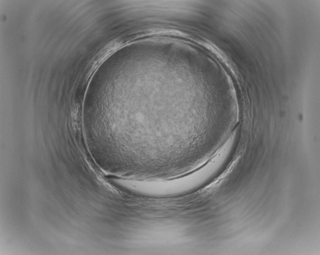 X0000058801001200510211834