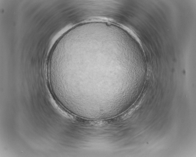 X0000058801003200510211834