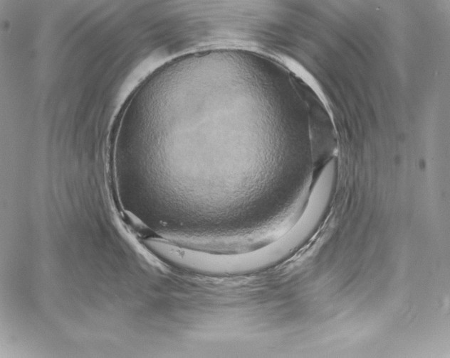 X0000058801005200510211834
