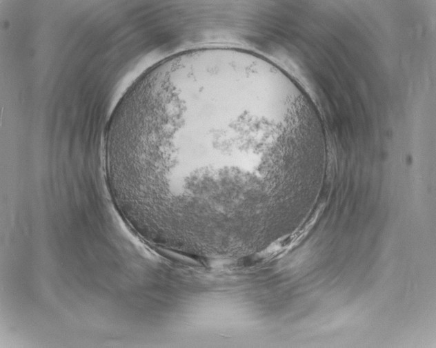 X0000058801006200510211834