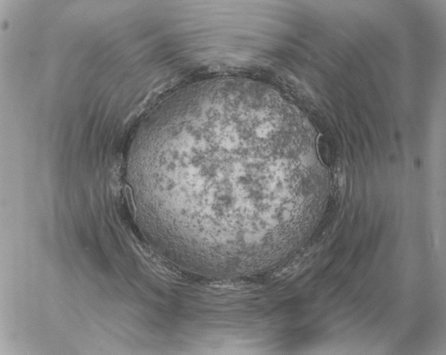 X0000058801012200510211833