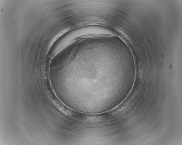 X0000058801026200510211834