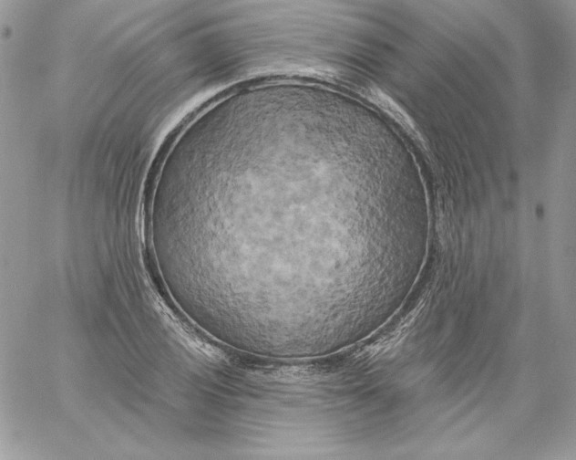 X0000058801028200510211834