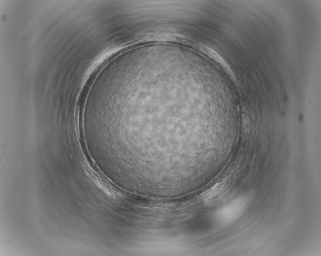 X0000058801035200510211834
