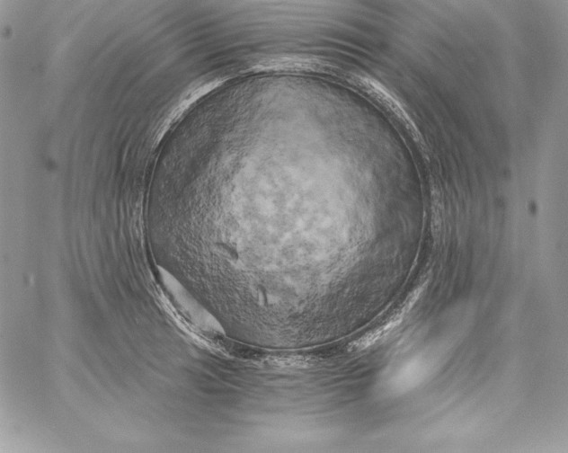 X0000058801041200510211834