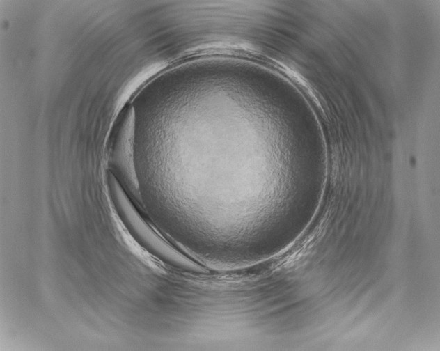X0000058801042200510211834