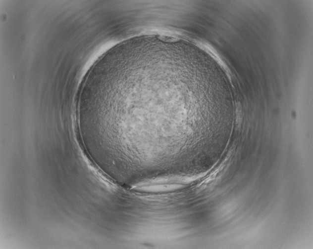 X0000058801048200510211834